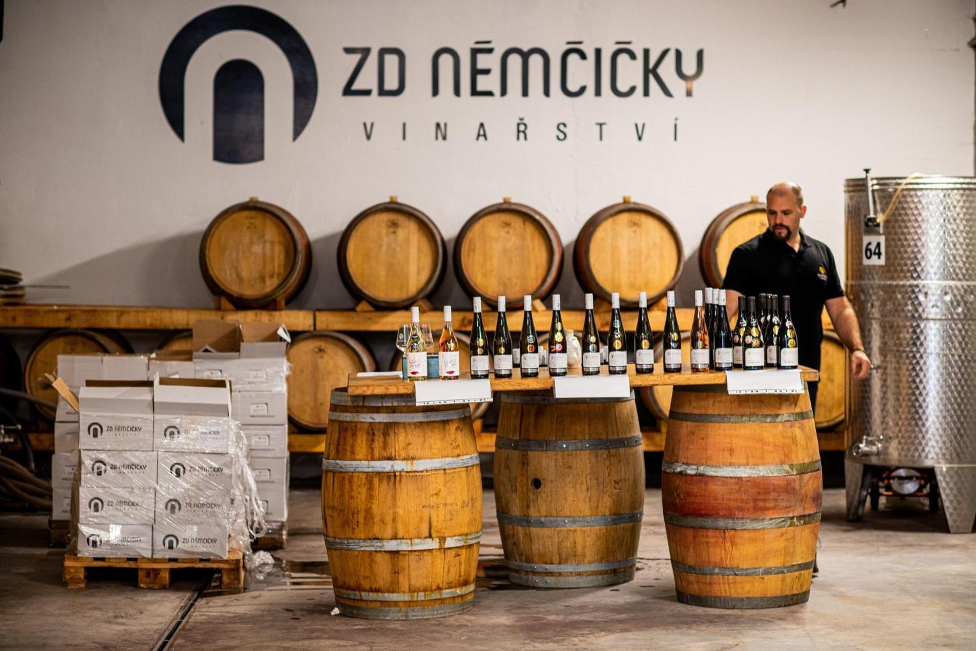 Ubytovani Ve Vinarstvi Zd Nemcicky Экстерьер фото